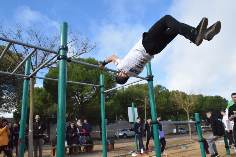 Imagen de Parque de Calistenia
