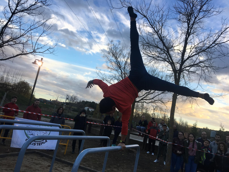 Imagen de Parque de Calistenia